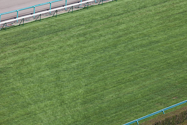istock Horse Racing Track 184658523
