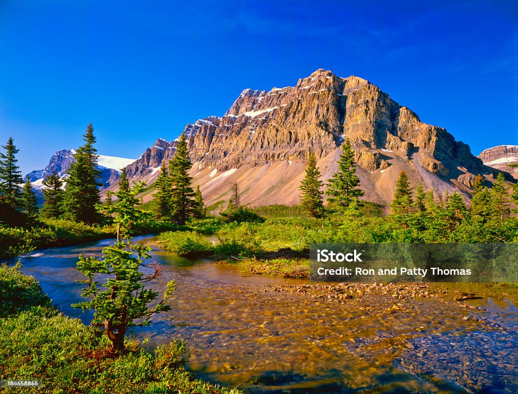 Montanhas Rochosas Canadianas de Banff NP - Royalty-free Banff Foto de stock