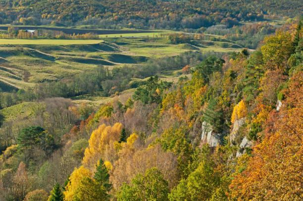 istock Valley in colors of fall 184658942
