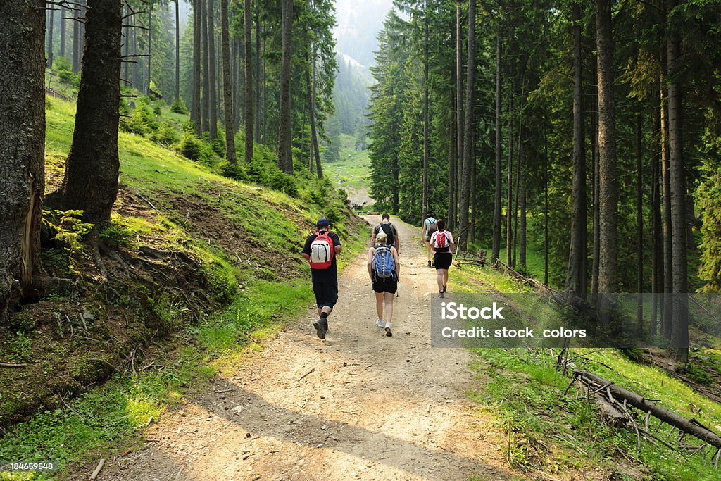 people traveling friends in forest traveling. Adult Stock Photo