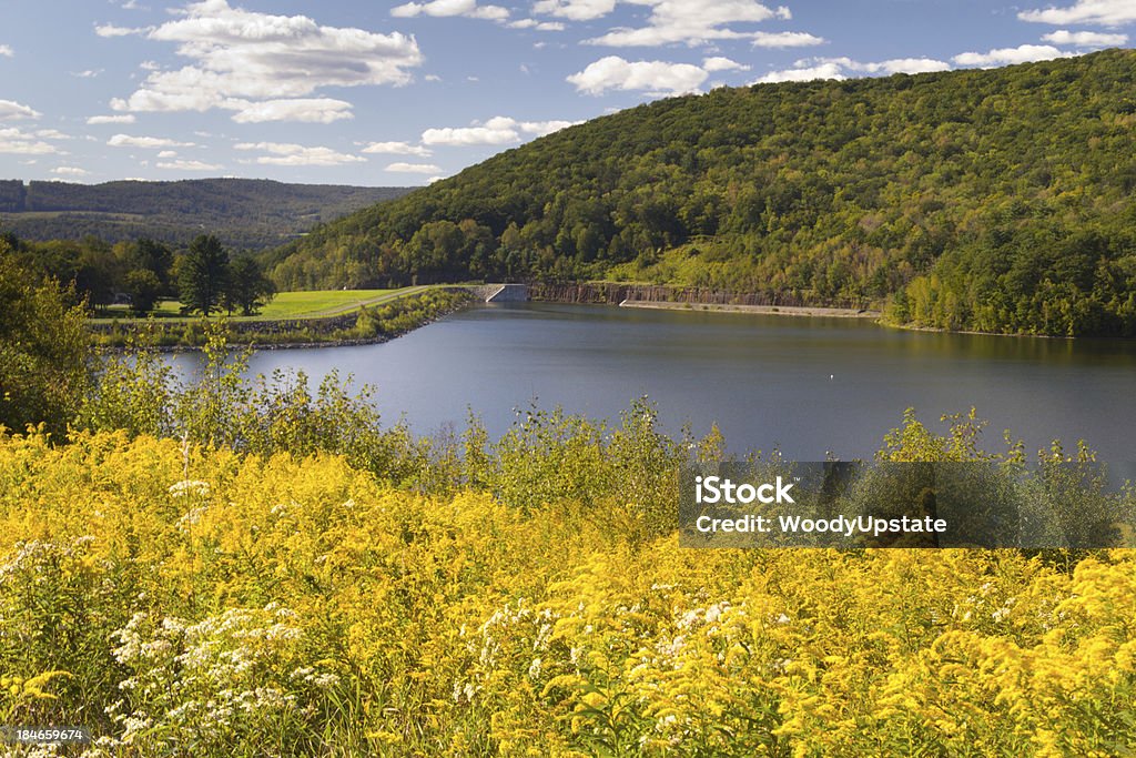 Reservoir an Sommer am Nachmittag - Lizenzfrei Ambrosie Stock-Foto
