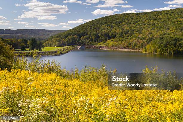 Foto de Reservatório De Tarde De Verão e mais fotos de stock de Ambrosia - Ambrosia, Reservatório, Amarelo