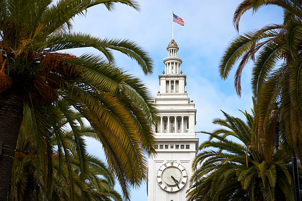 istock Ferry Building San Francisco Blue Sky Palm Trees 184659986