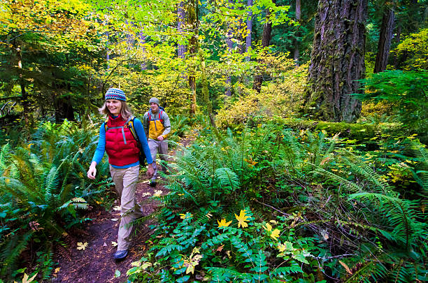 Autumn Hiking Couple stock photo