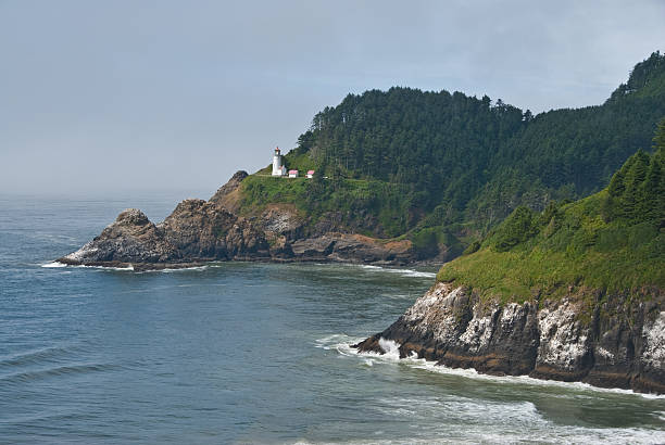Heceta Head Overlooking the Pacific Ocean The Heceta Head Lighthouse, built in 1894 and on the National Register of Historic Places, is still a working lighthouse. It stands 205 feet above the Pacific Ocean and casts a beam of light 21 miles out to sea. It is said to be one of the most photographed lighthouses in the United States. The Heceta Head Lighthouse is located 13 miles north of Florence, Oregon, USA. jeff goulden oregon coast stock pictures, royalty-free photos & images