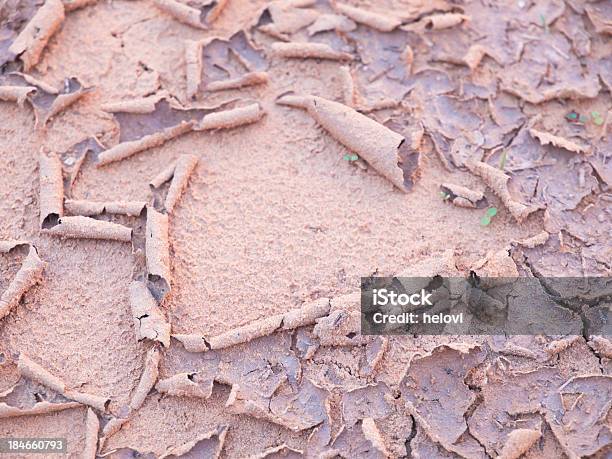 Drought Stock Photo - Download Image Now - Agriculture, Arid Climate, Backgrounds