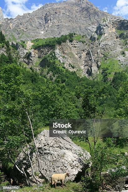 Photo libre de droit de Les Diablerets Suisse banque d'images et plus d'images libres de droit de Alpes européennes - Alpes européennes, Beauté de la nature, Canton du Valais