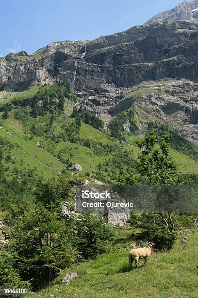 Photo libre de droit de Les Diablerets Suisse banque d'images et plus d'images libres de droit de Alpes européennes - Alpes européennes, Beauté de la nature, Canton du Valais