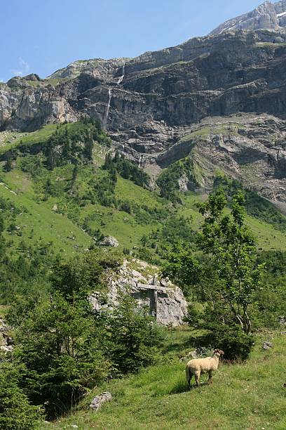 istock Les Diablerets Area, Swiss 184661181