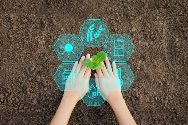 istock Hands planting seedling salad vegetables in soil with plant growth factor icon. Smart farming, sustainable development, Agriculture and Ecology concept. 1846637484