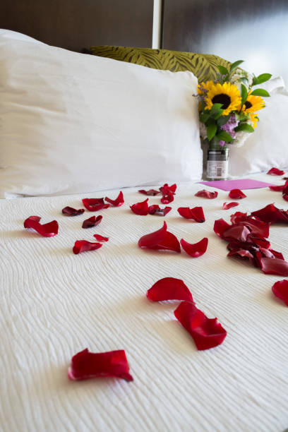 istock Luxurious hotel room with a king-size bed adorned with rose petals, for a wedding night 1846651177