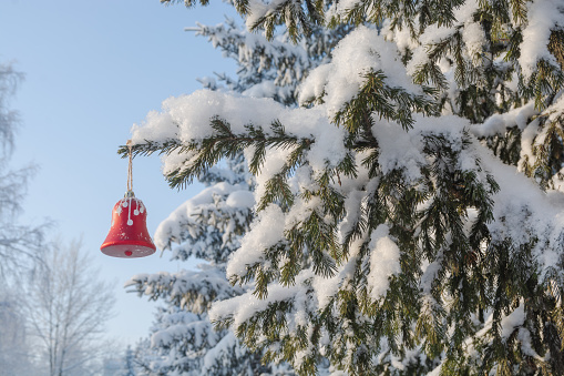A red Christmas tree toy bell hangs on a snow-covered spruce branch in the forest after a heavy snowfall. Snow covering a pine tree in the forest. Beautiful winter landscape. Snow fairy tale.