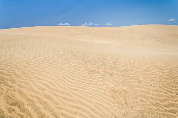istock Sand dune of desert 184665765