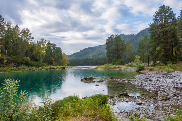 istock Calm blue lake with trees and mountain at Altai 1846670306