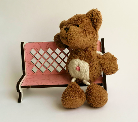 Cute little bear sitting on a pink bench, located on a light background.