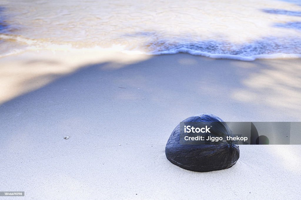 De la noix de coco séchée à la plage - Photo de Asie libre de droits