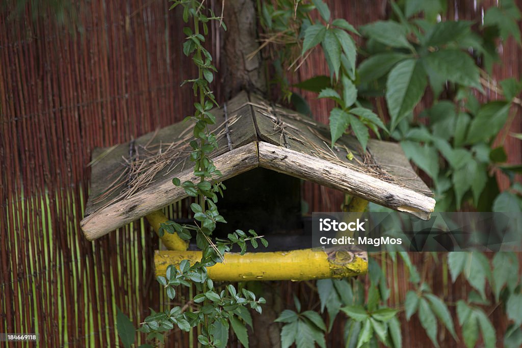鳥の餌箱 - 庭のロイヤリティフリーストックフォト