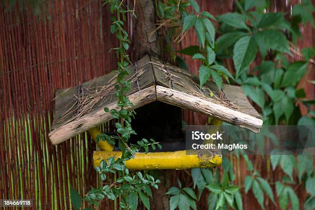 鳥の餌箱 - 庭のストックフォトや画像を多数ご用意 - 庭, 鳥の餌箱, ガゼボ