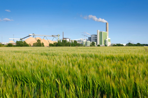 Green Swedish factory over the wheat field