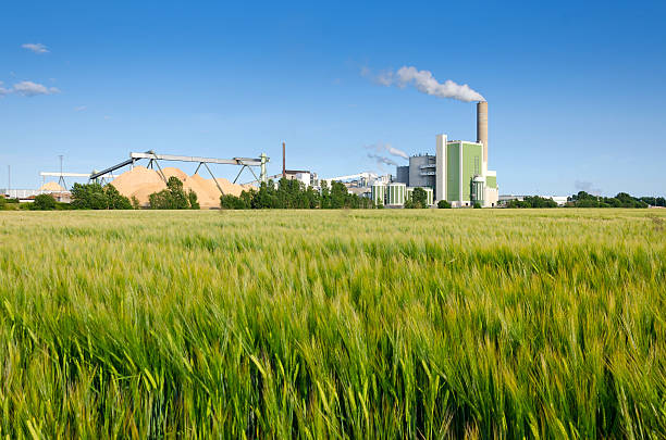 green fabryki - plant ecology zdjęcia i obrazy z banku zdjęć
