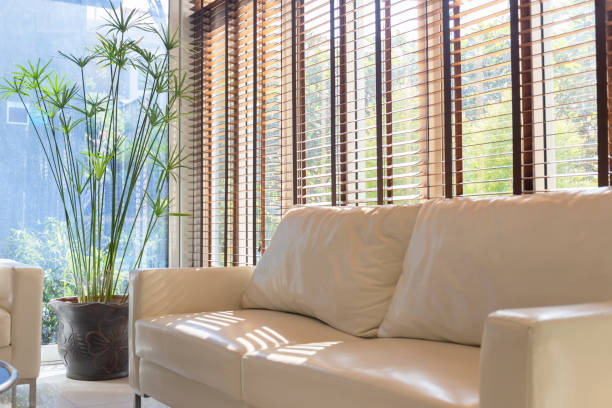 istock Interior of light living room with beige sofas window and a green palm tree 1846714642