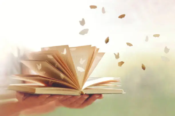 500 Poetry Pictures Download Free Images On Unsplash 500 Poetry Pictures Download Free Images On Unsplash