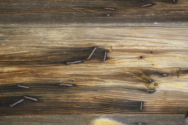 Wood texture background. Wooden planks background, weathered, with nails, top view, sharp and highly detailed.