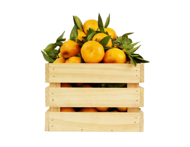 istock Tangerines in wooden crate isolated on white background. 1846744708
