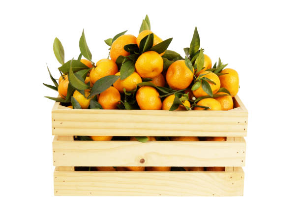 istock Tangerines in wooden crate isolated on white background. 1846744718