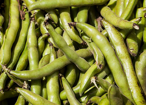 Fresh Fava or broad bean background Fresh Fava or broad bean background, texture or pattern fabes stock pictures, royalty-free photos & images