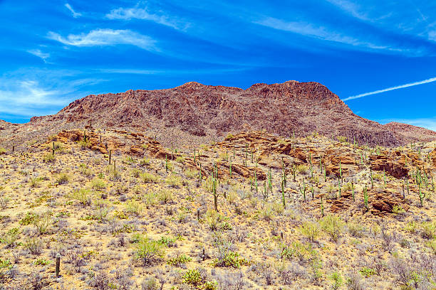 istock beautiful mountain desert landscape with cacti 184675123