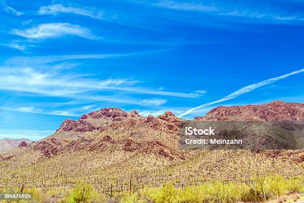 Красивый Горный Пейзаж В Пустыне С Изображением Кактусов — стоковые фотографии и другие картинки Brown Mountain