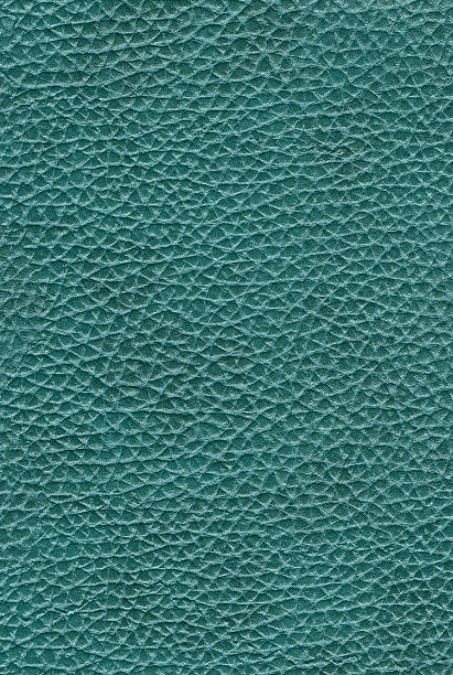 istock texture of skin 184677077