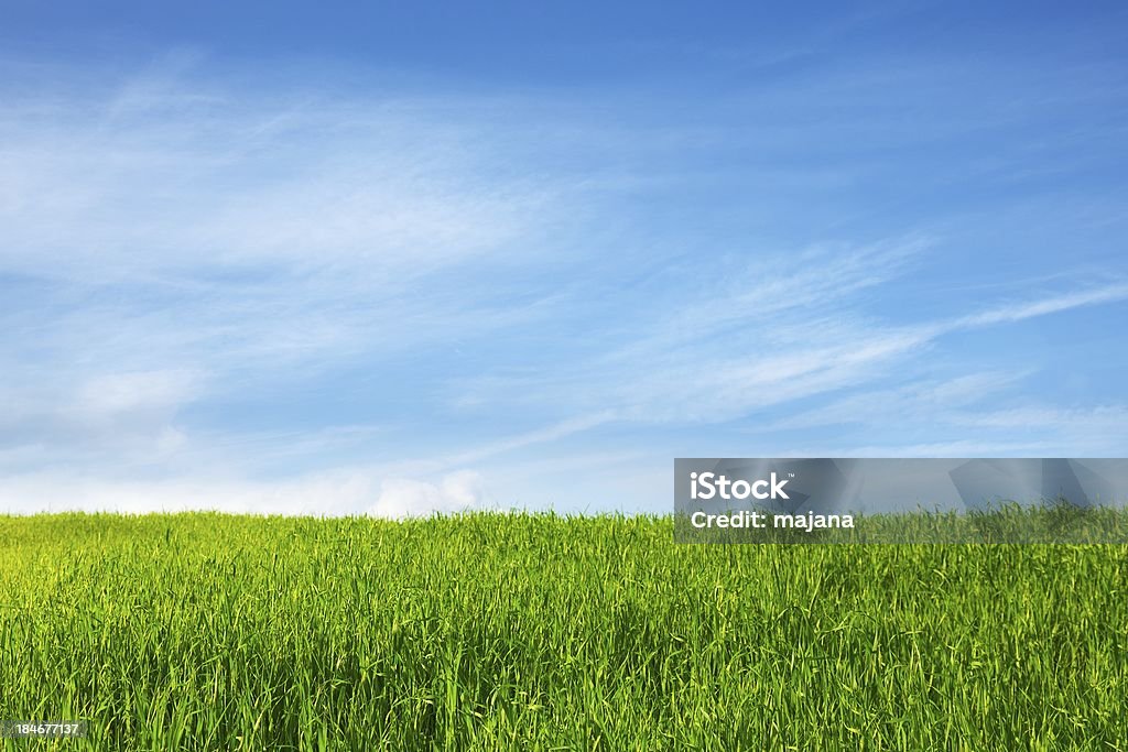 Green Feld - Lizenzfrei Bildhintergrund Stock-Foto