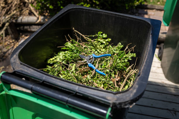 istock Green garden waste and blue pruner in bin. Spring garden cleaning. 1846778271