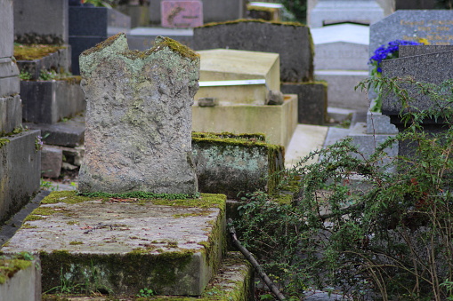 A close-up of a collection of grey stones in a cemetery, with ivy growing around them