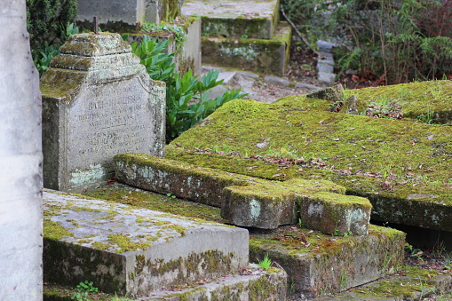 A close-up of a cemetery with a variety of moss-covered tombstones