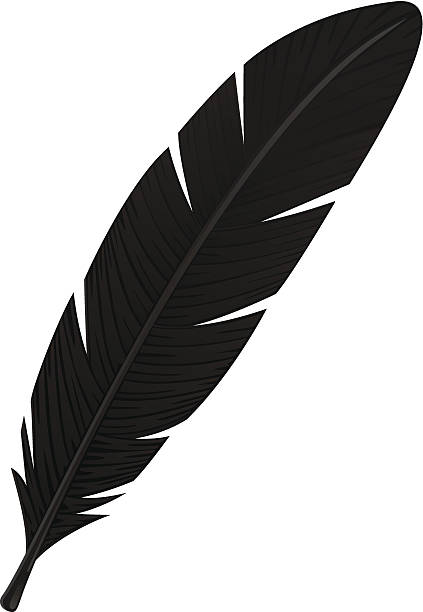 illustrations, cliparts, dessins animés et icônes de noir, plume - eagle feather