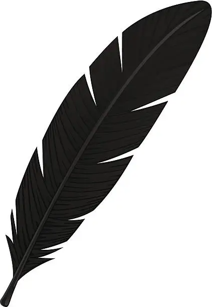 Vector illustration of Black Feather