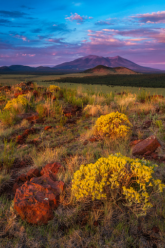 A scenic view of a vast open field with mountains in the background. The San Francisco Peaks, Arizona