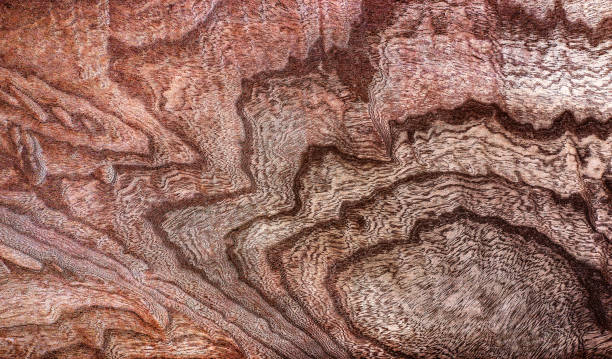 istock Beautiful wood grain. Wood background. Wood grain pattern texture background 1846808295