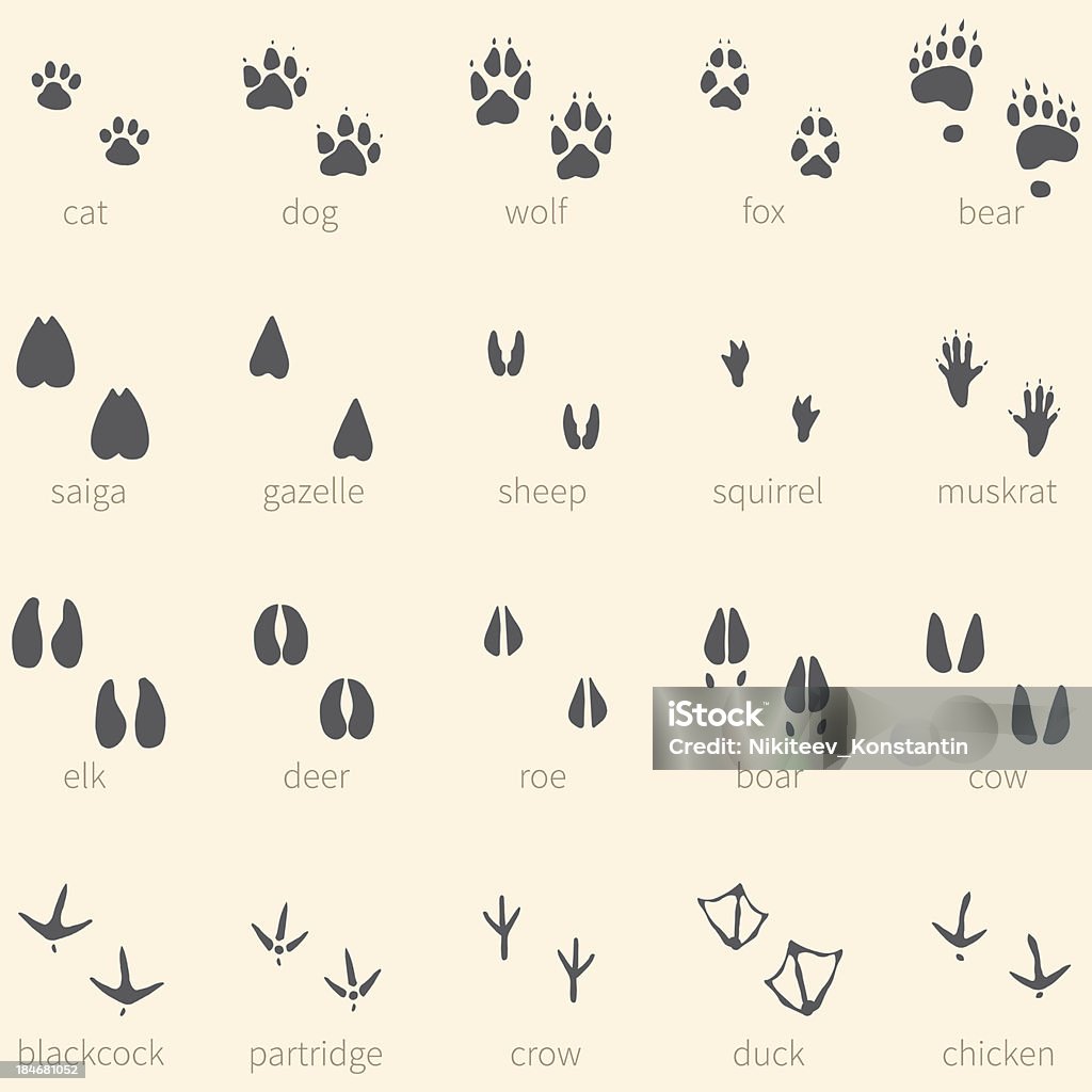 Vector set of 20 animal footprints icon Livestock stock vector