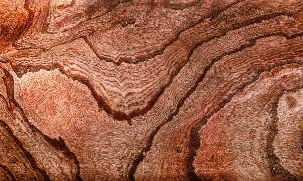 istock Beautiful wood grain. Wood background. Wood grain pattern texture background 1846813967