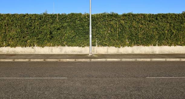 istock Metallic pole on concrete sidewalk with fence consisting in a low cement wall and tall bamboo hedge on behind. Street in front. 1846814609