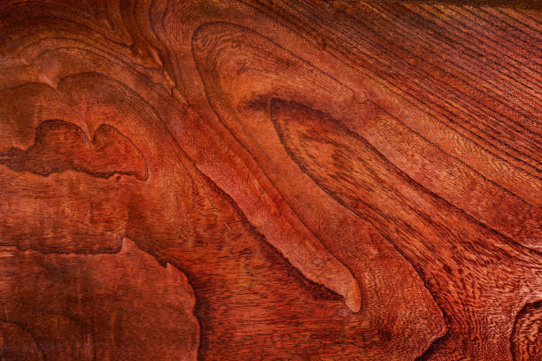 istock Beautiful wood grain. Wood background. Wood grain pattern texture background 1846818857