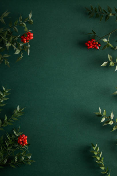istock Christmas flowers on isolated green background 1846823154