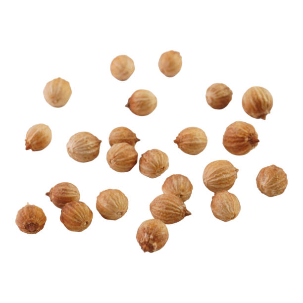istock Coriander Seeds Isolated on White Background 1846824759