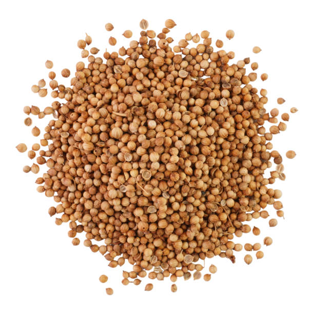 istock Coriander Seeds Isolated on White Background 1846825825