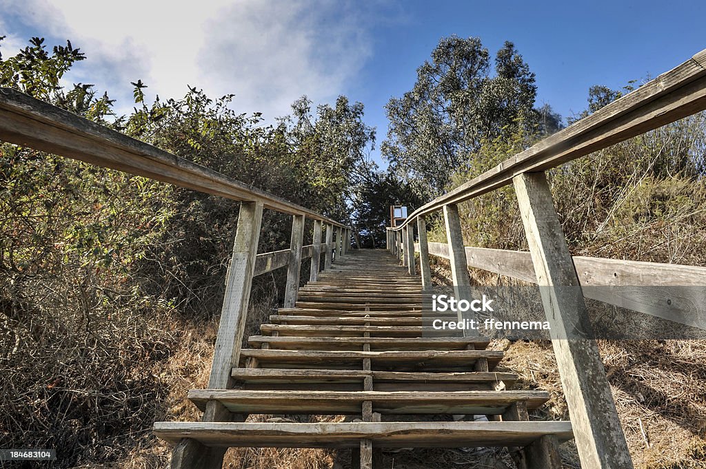 Procedura di registrazione in legno su una ripida roccia - Foto stock royalty-free di Ambientazione esterna