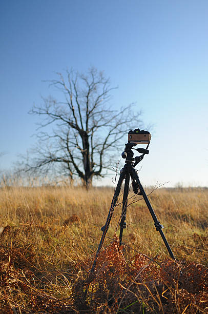 Kamera auf Stativ im Feld – Foto